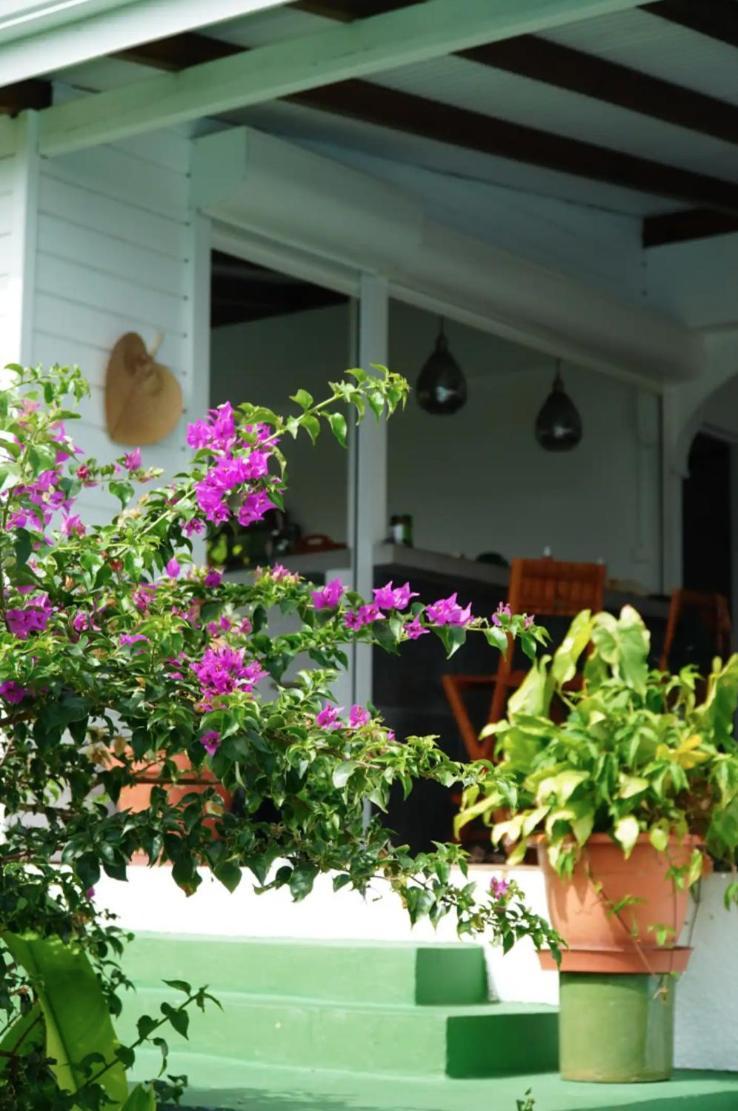 Villa Cristalline Douceur Des Alizes Belle-Allée Εξωτερικό φωτογραφία
